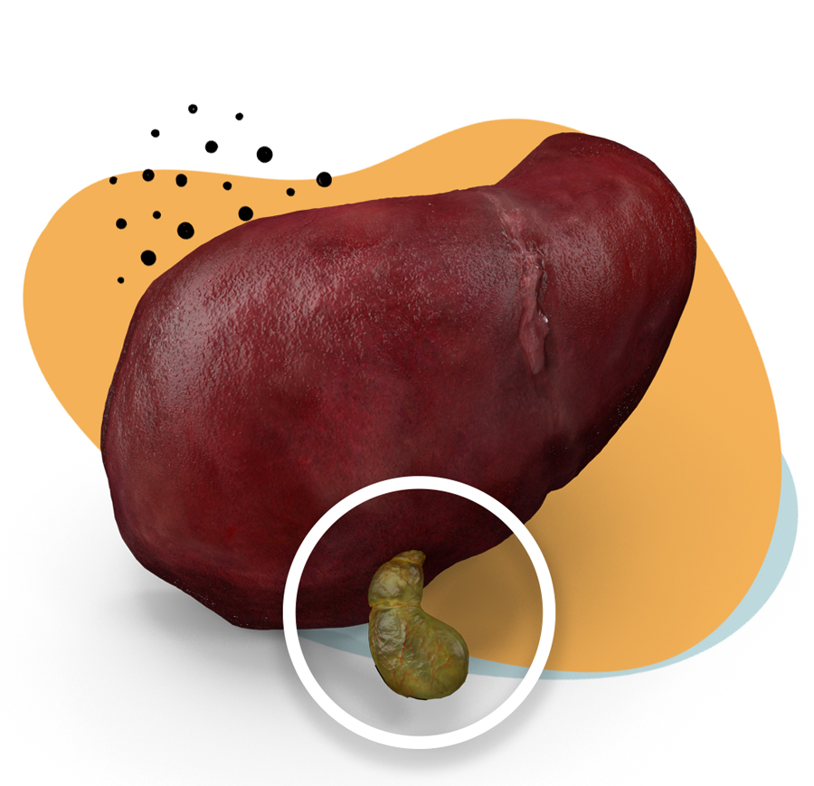 Dr. Álvaro Apéstegui, cirujano especialista en hernias de pared abdominal, Costa Rica