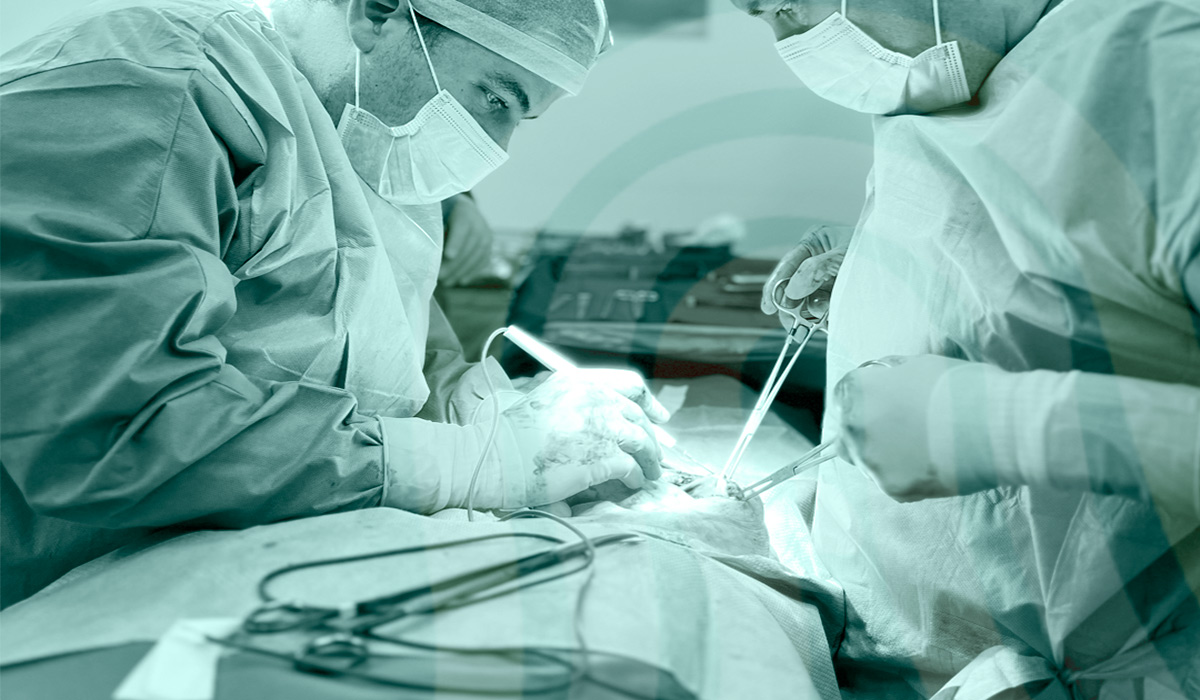 ¿Cuáles son los síntomas de una hernia epigástrica?